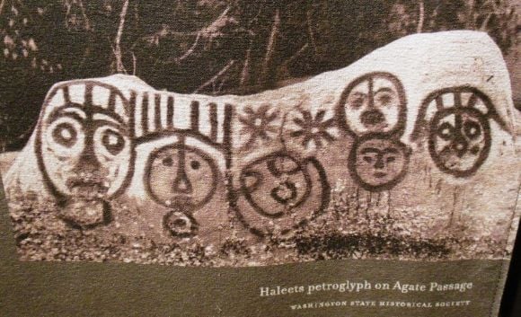 8558 photo DSCN8558_zps3c82e7b6.jpg