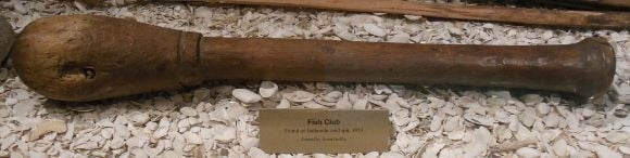 8579 photo DSCN8579_zpsca2c00cf.jpg