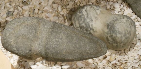 8586 photo DSCN8586_zpsfe0a515a.jpg