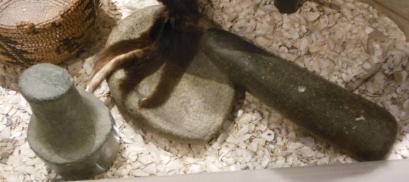 8588 photo DSCN8588_zps795c9284.jpg