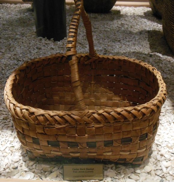 8597 photo DSCN8597_zps18cede66.jpg