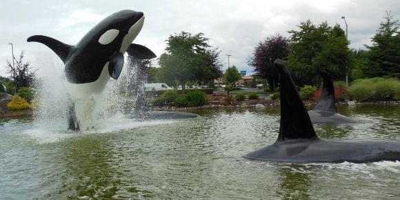 8726 photo DSCN8726_zps16fccbb4.jpg