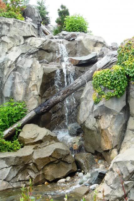 8729 photo DSCN8729_zps272e588d.jpg