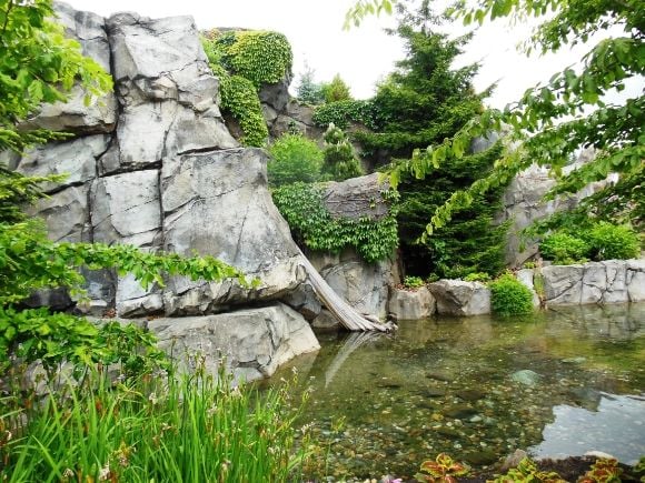 8730 photo DSCN8730_zps9c74e0f2.jpg