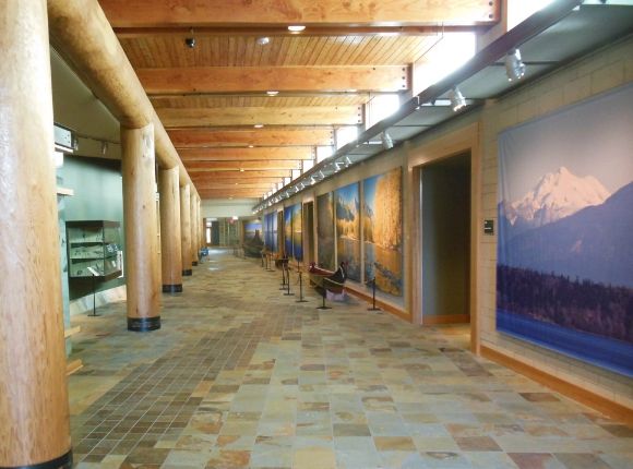 8745 photo DSCN8745_zps5df6f573.jpg