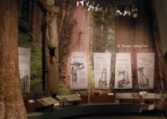 8752 photo DSCN8752_zpscfe9f3dd.jpg