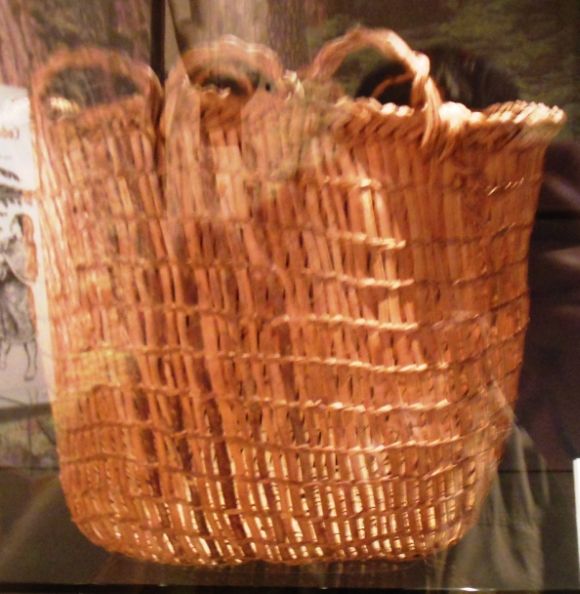 8764 photo DSCN8764_zps43cf64fd.jpg