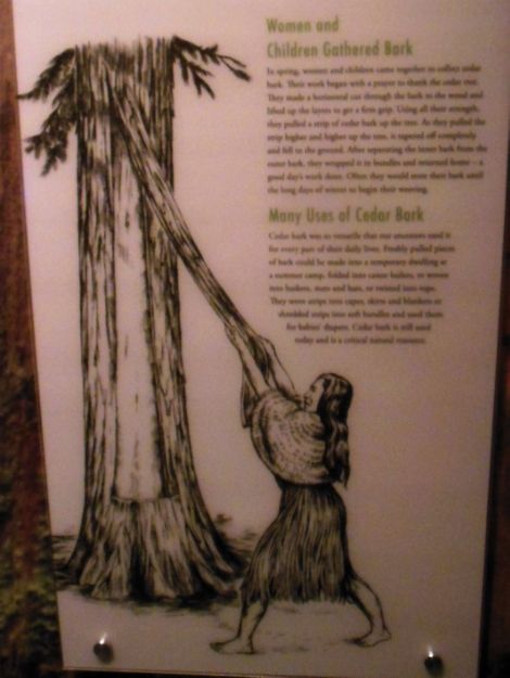 8775 photo DSCN8775_zps90431065.jpg