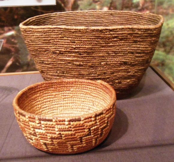 8785 photo DSCN8785_zps0f5c5725.jpg