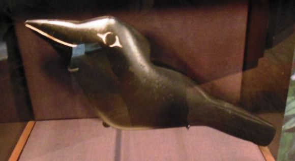 8816 photo DSCN8816_zps8daa6e44.jpg