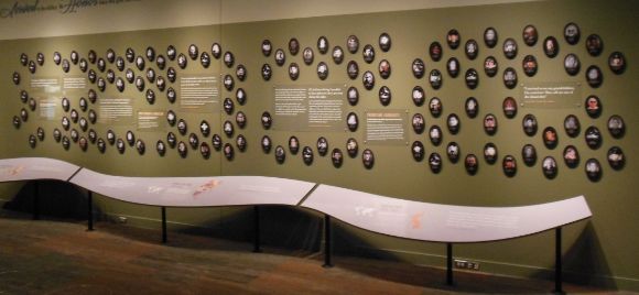 8861 photo DSCN8861_zps23694774.jpg