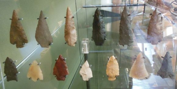 8877B photo DSCN8877B_zps6b80755b.jpg