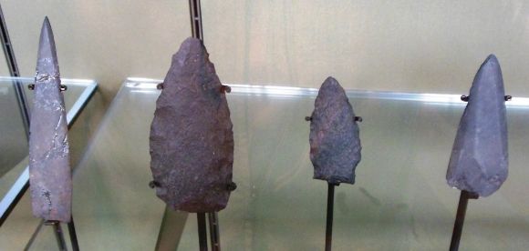 8882P photo DSCN8882P_zps4a1d7f18.jpg