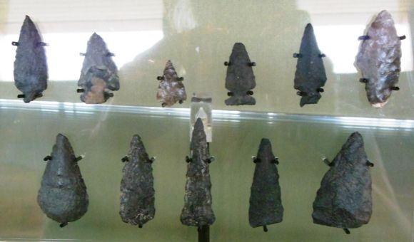 8883 P photo DSCN8883P_zps15a46611.jpg