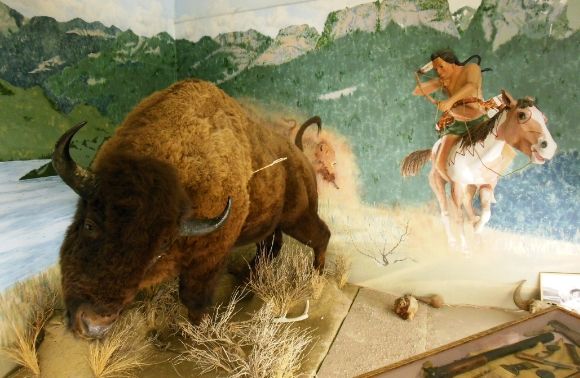 9205 photo DSCN9205_zps9fe197ce.jpg