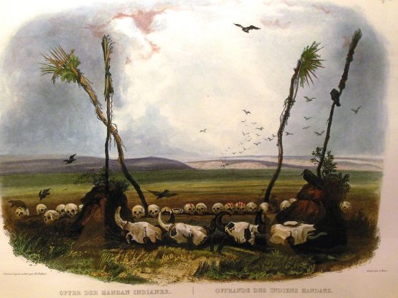 9603 photo DSCN9603_zpsc356f5fd.jpg