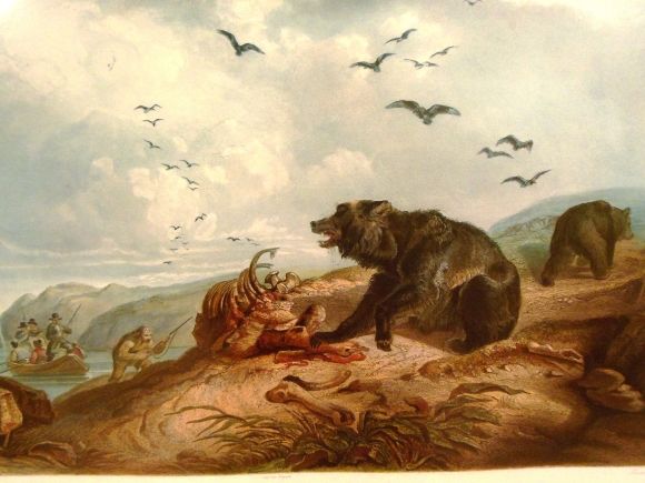 9621 photo DSCN9621_zps1cae6886.jpg