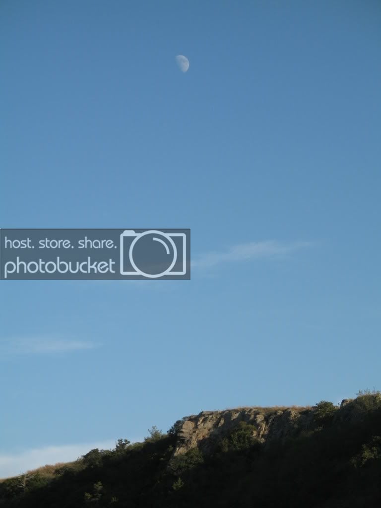 Photo Sharing and Video Hosting at Photobucket