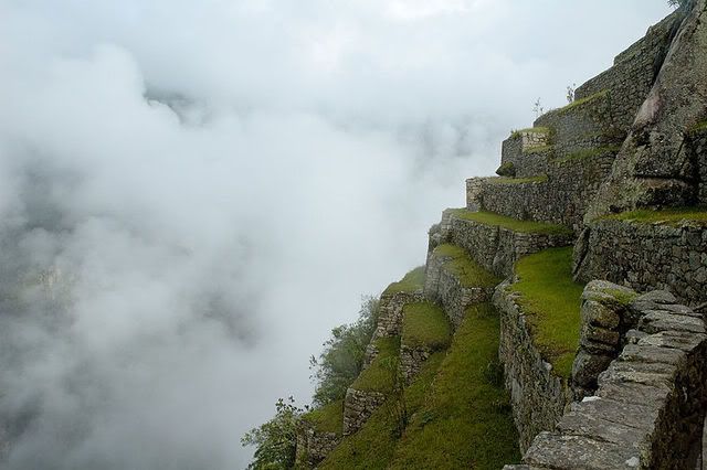 Machu Picchu Terrace