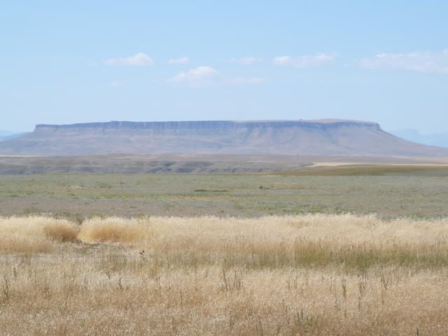 Plains Landscape 1