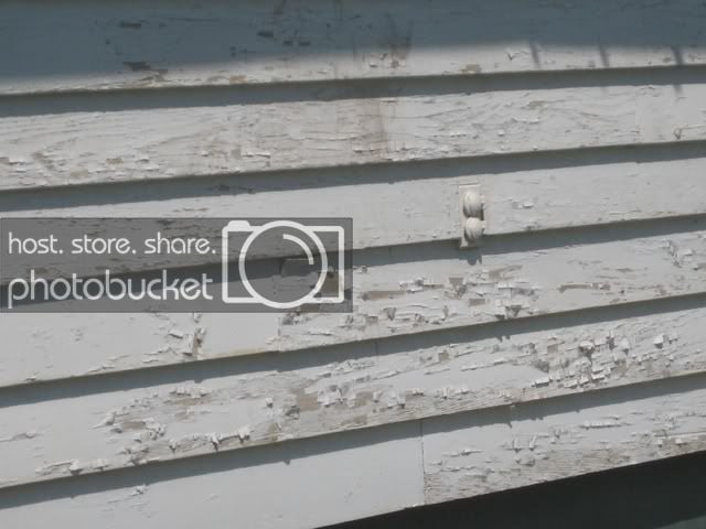 Pretty Bird Woman House Needs a Coat of Paint +