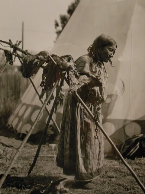 Susan Kelly Power, Standing Rock Sioux, activist, advocate, heroine of her people