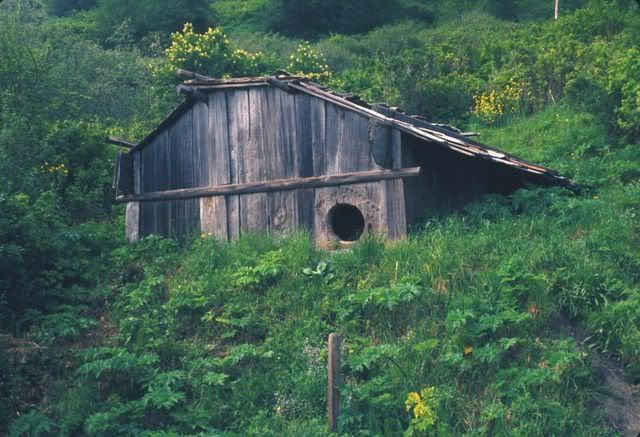 Yurok Plankhouse
