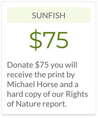 Screen Shot 2018-03-03 at 3.53.42 PM