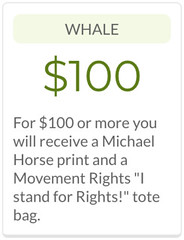 Screen Shot 2018-03-03 at 3.54.06 PM