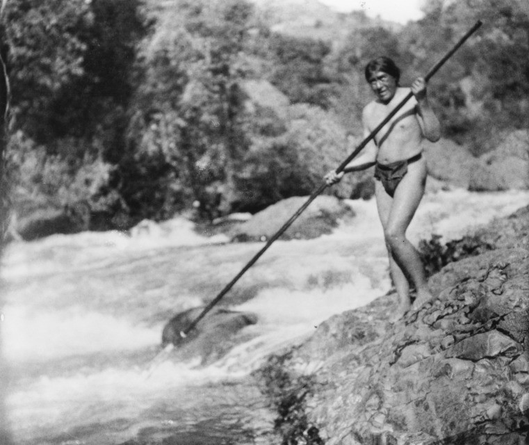 Ishi looking for fish to spear. 