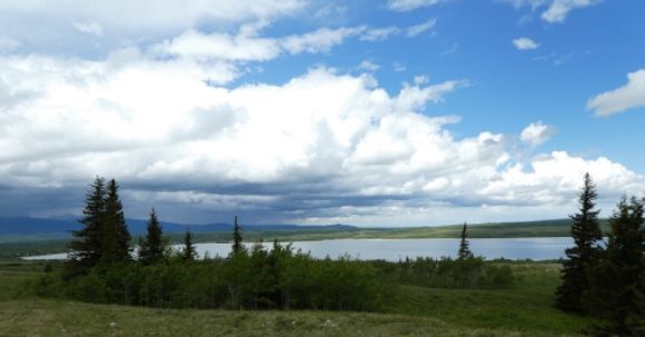 photo P1000638_zpsa40so36o.jpg