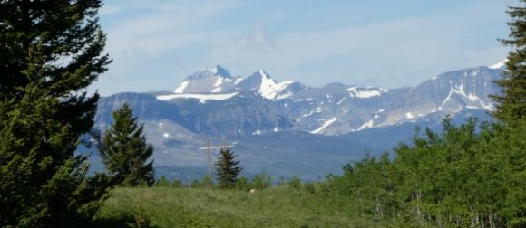 photo P1000830_zpsmyz5xpzn.jpg