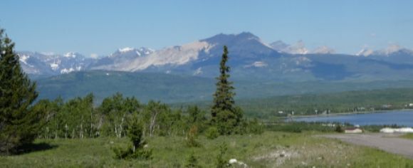 photo P1000831_zpsvz5deey8.jpg