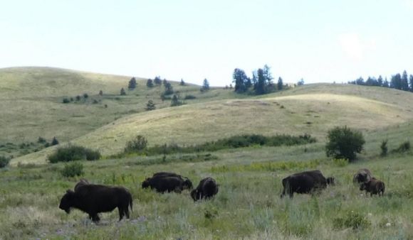 photo P1010414_zpslpwou3v7.jpg