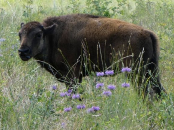 photo P1010418_zpsy2dw91hx.jpg