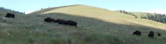 photo P1010452_zpsol6jgcin.jpg