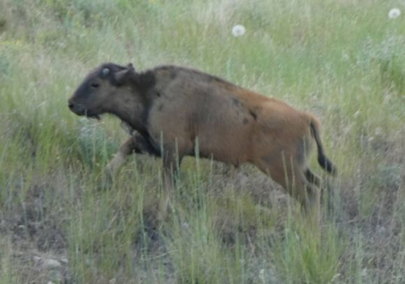 photo P1010456_zpsvfrq42tl.jpg