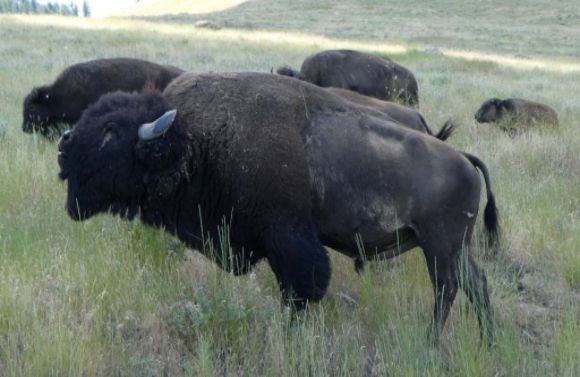 photo P1010461_zpswafab06f.jpg