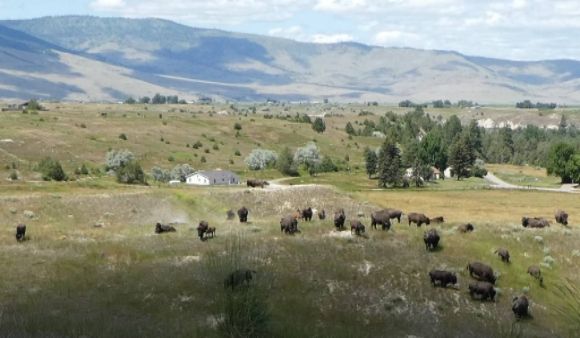 photo P1010465_zpsngfygorm.jpg