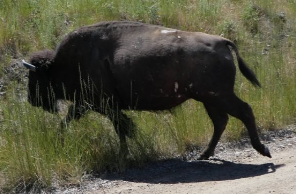 photo P1010471_zpsn4sgbo0l.jpg