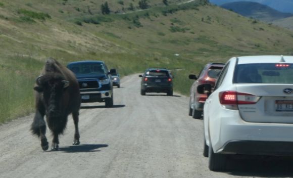 photo P1010472_zpswzhcao4o.jpg