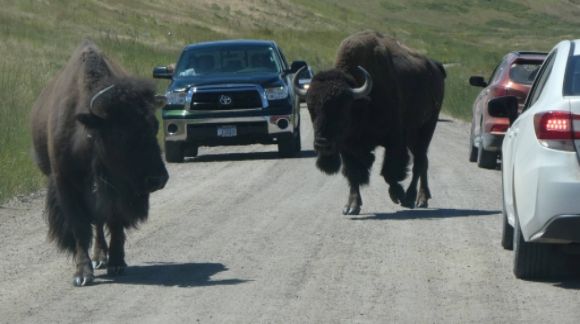 photo P1010473_zpsbab8jkyw.jpg