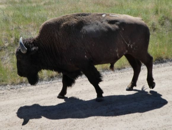 photo P1010477_zpsz0fdg5xx.jpg