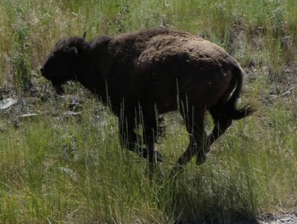 photo P1010481_zps286u02s1.jpg