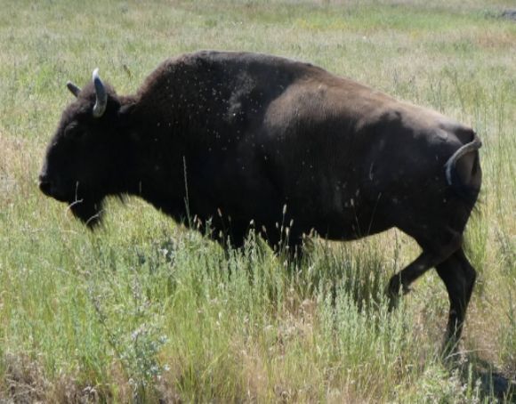 photo P1010486_zpsqznlisgx.jpg