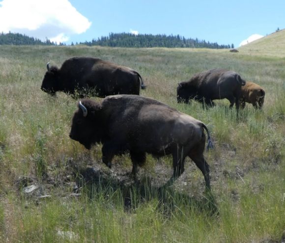 photo P1010489_zpskefziize.jpg