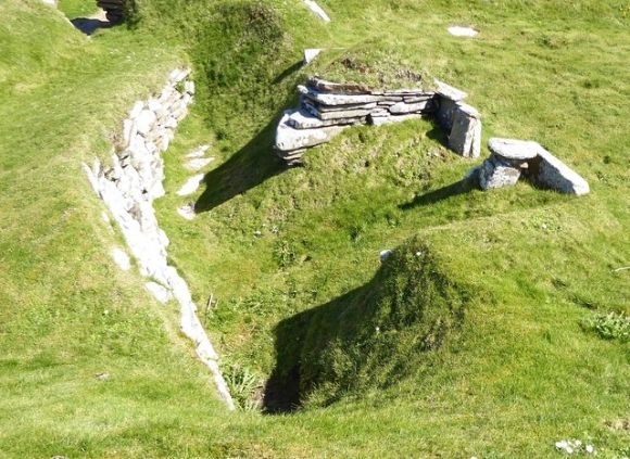 photo P1010554_zpsnmzhuwpe.jpg