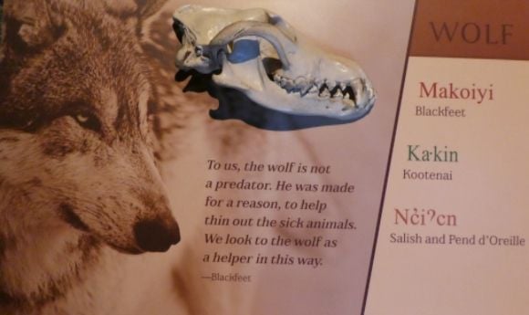 photo P1010607_zps3khhucgx.jpg