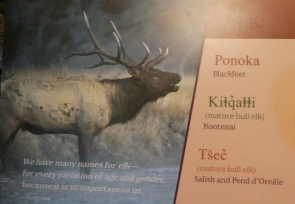 photo P1010609_zpst4dhgdb8.jpg