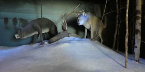 photo P1010611_zpsdvxnwbkj.jpg